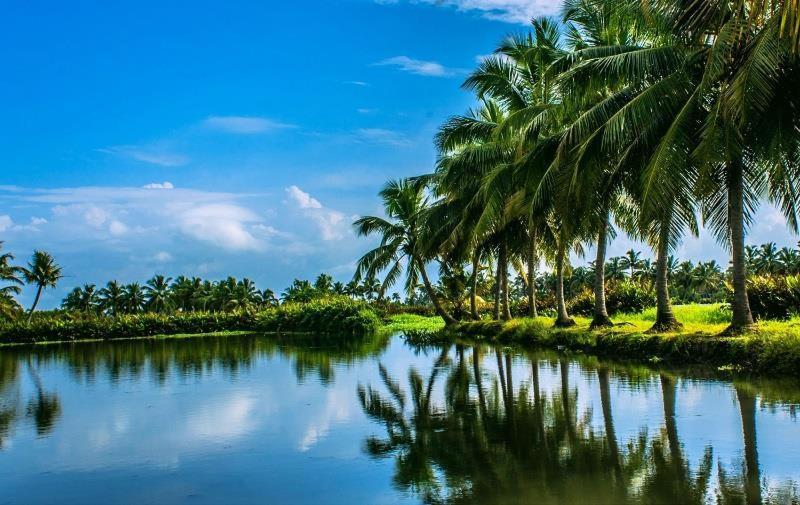Sea Breeze Beach Home Stay Alappuzha Exterior foto